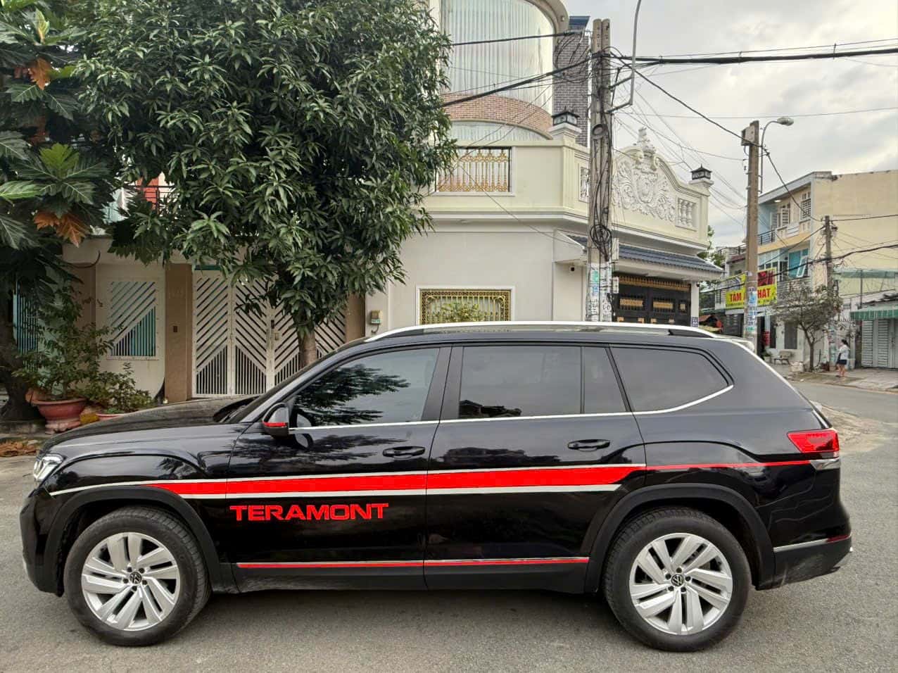 VOLKSWAGEN TERAMONT
