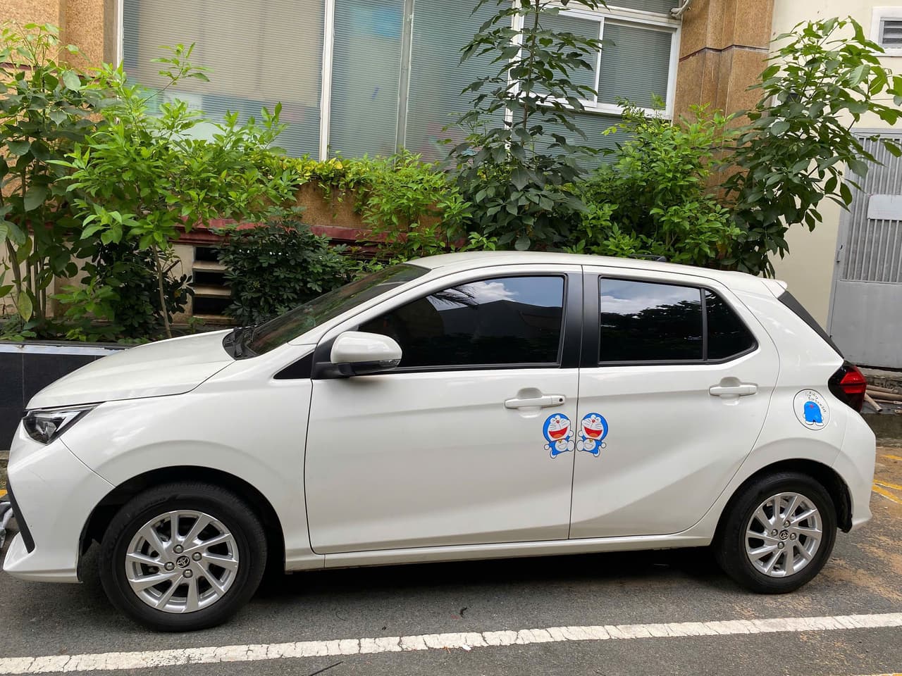 Hình ảnh 2 Image 2