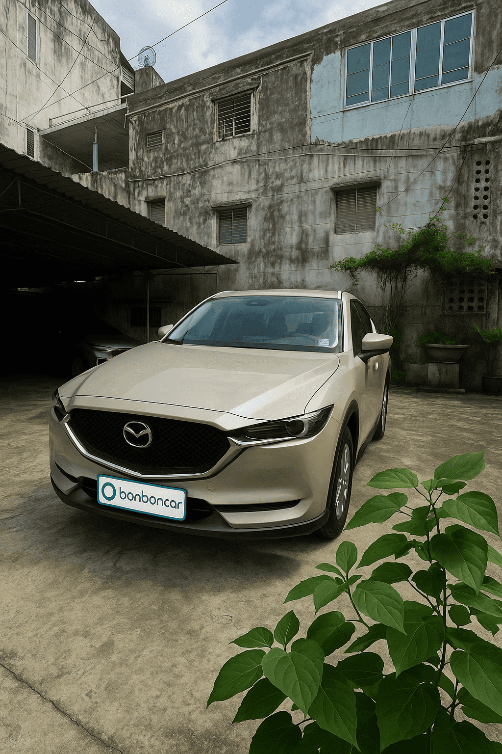 Hình ảnh 1 Image 1