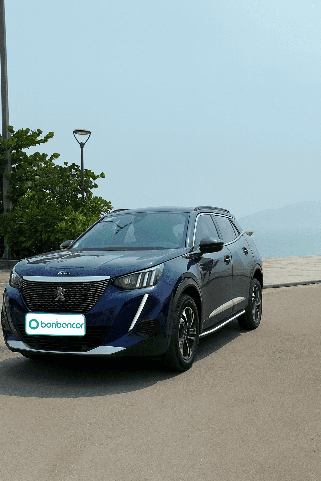 Hình ảnh 1 Image 1