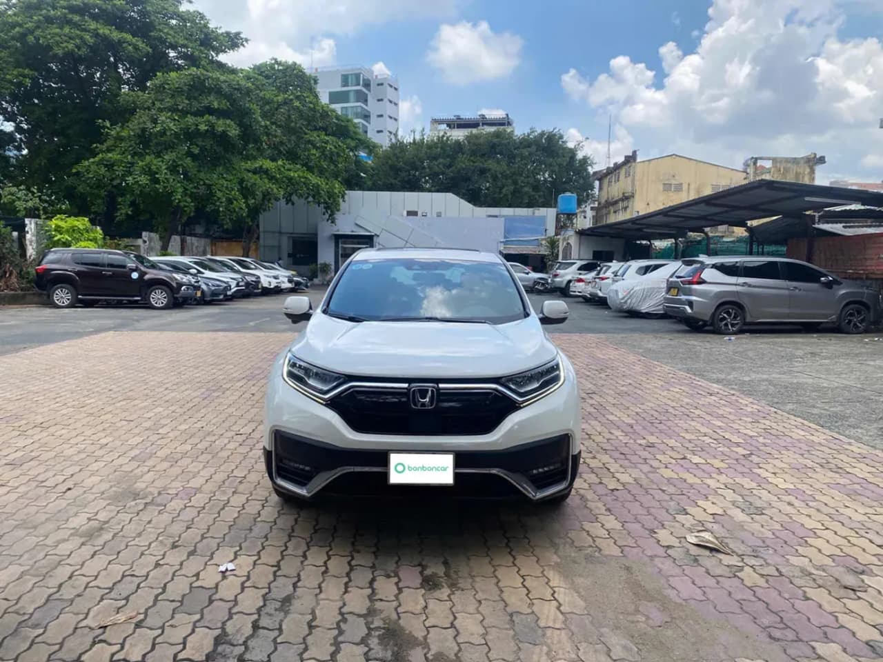 Hình ảnh 3 Image 3