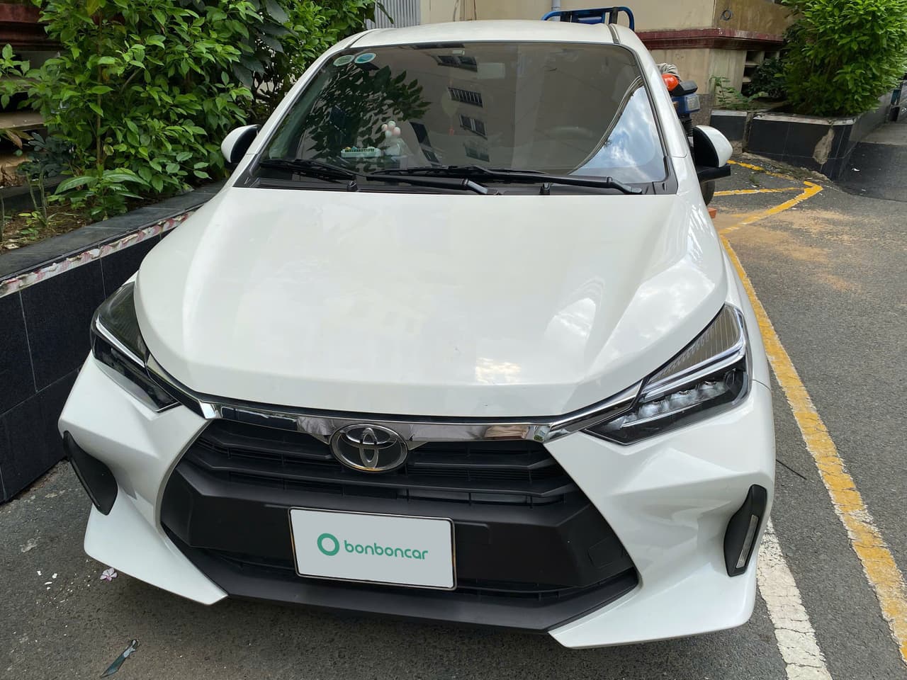 Hình ảnh 1 Image 1