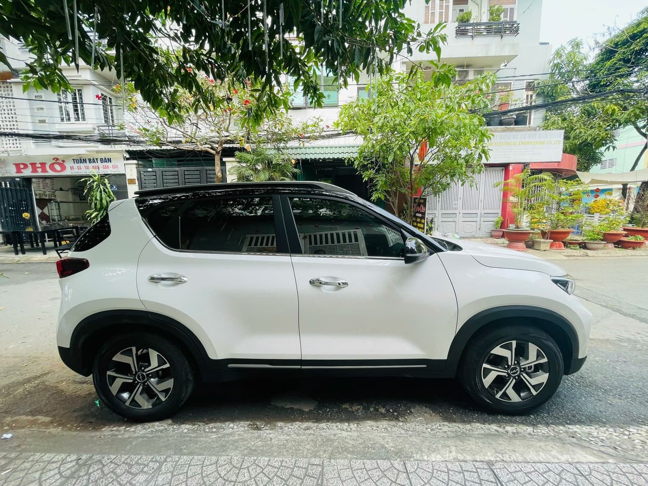 Hình ảnh 2 Image 2