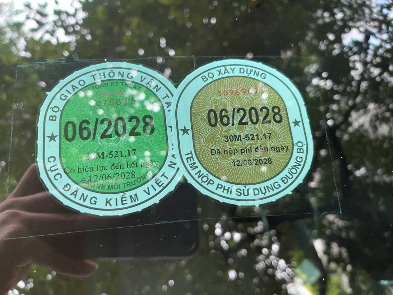 Hình ảnh 7 Image 7