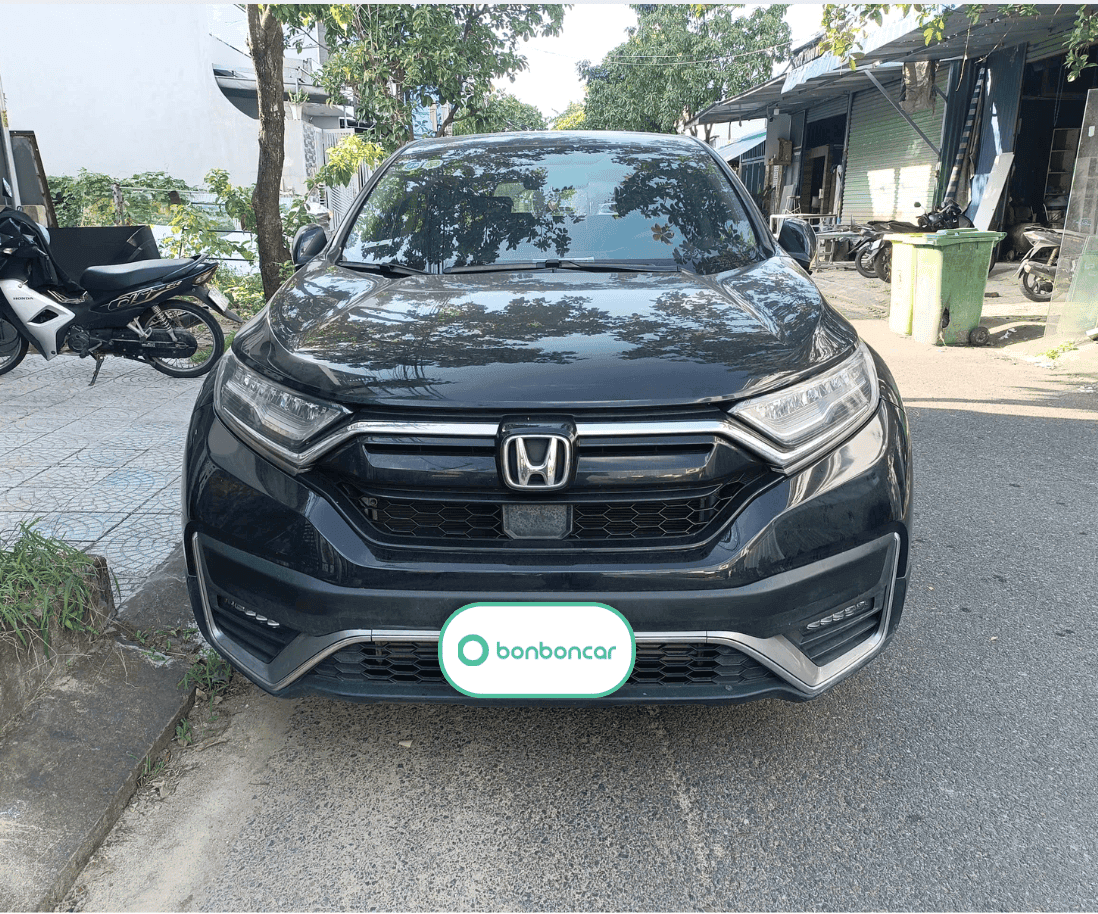 Hình ảnh 5 Image 5