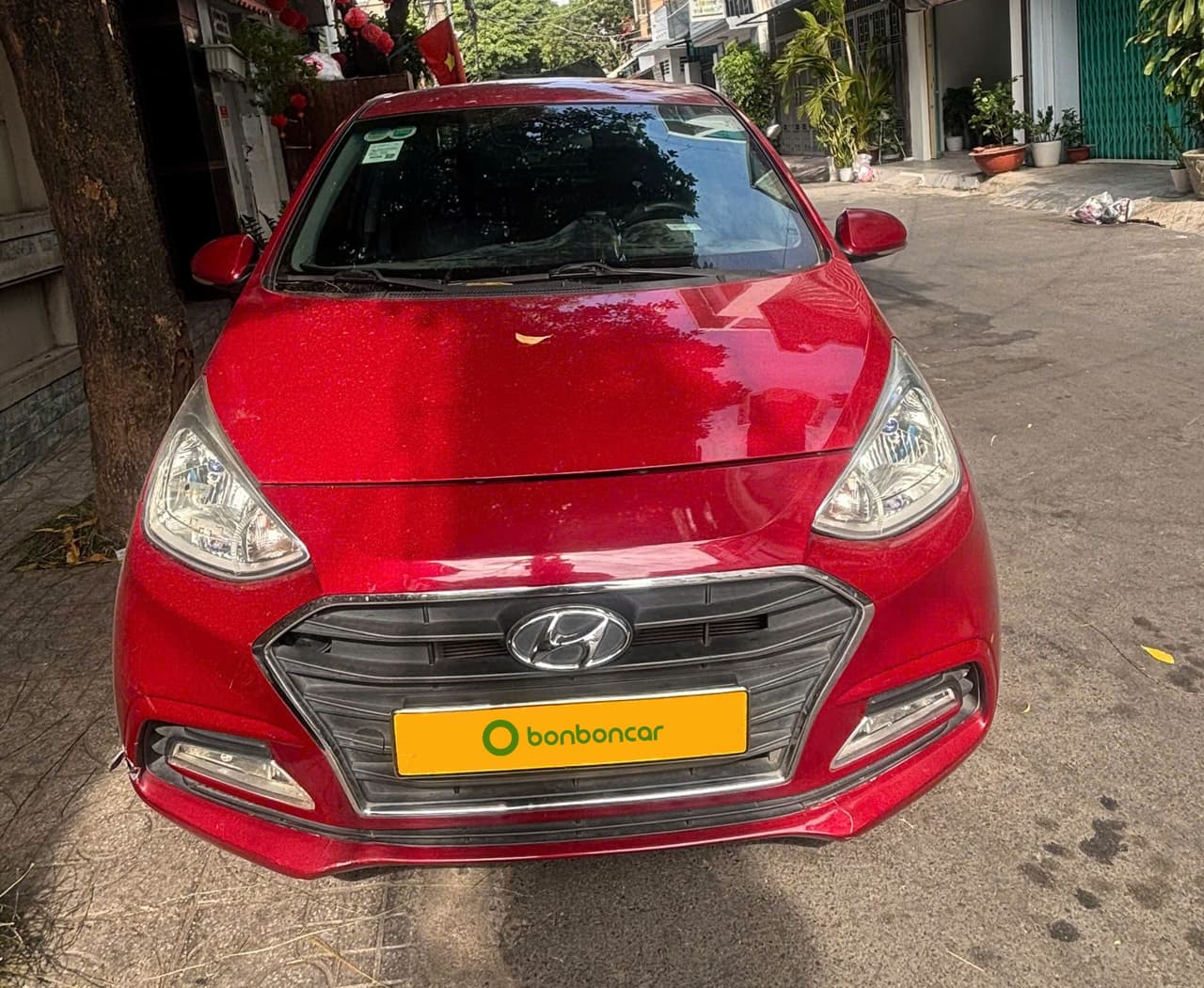 Hình ảnh 1 Image 1