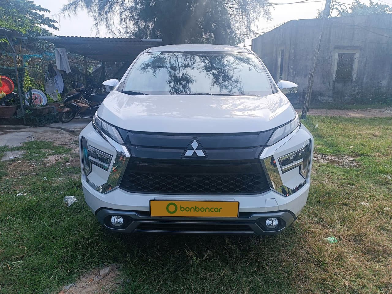 Hình ảnh 5 Image 5