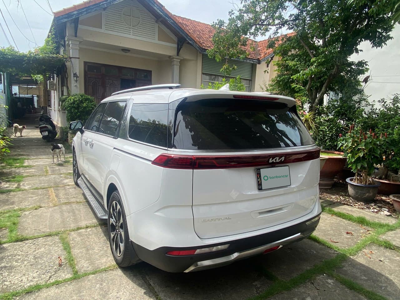 Hình ảnh 5 Image 5