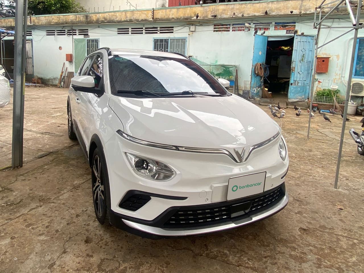 Hình ảnh 5 Image 5