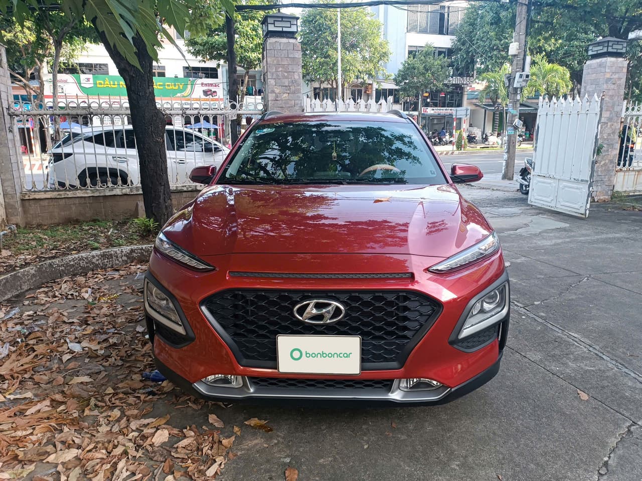 Hình ảnh 7 Image 7