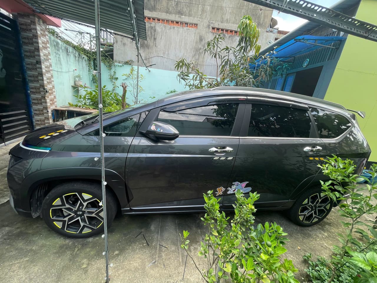 Hình ảnh 5 Image 5