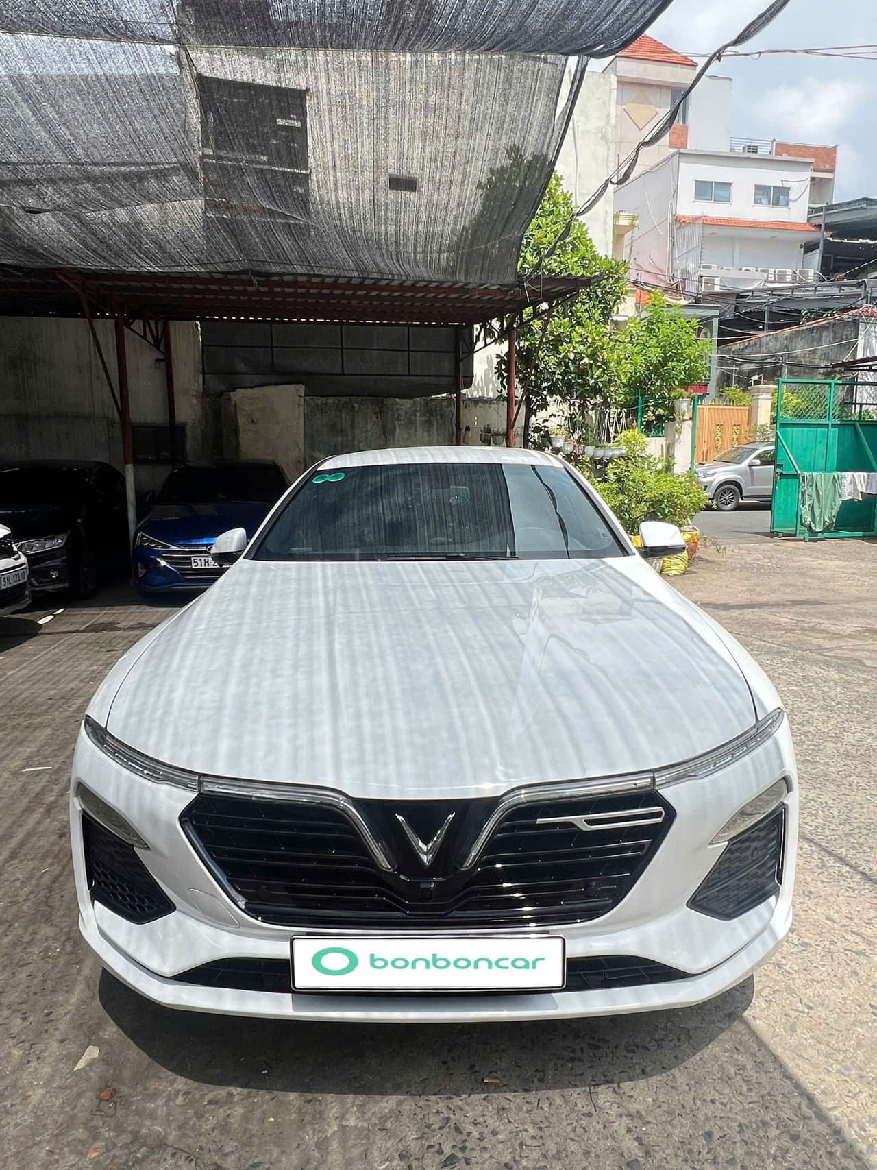 Hình ảnh 1 Image 1