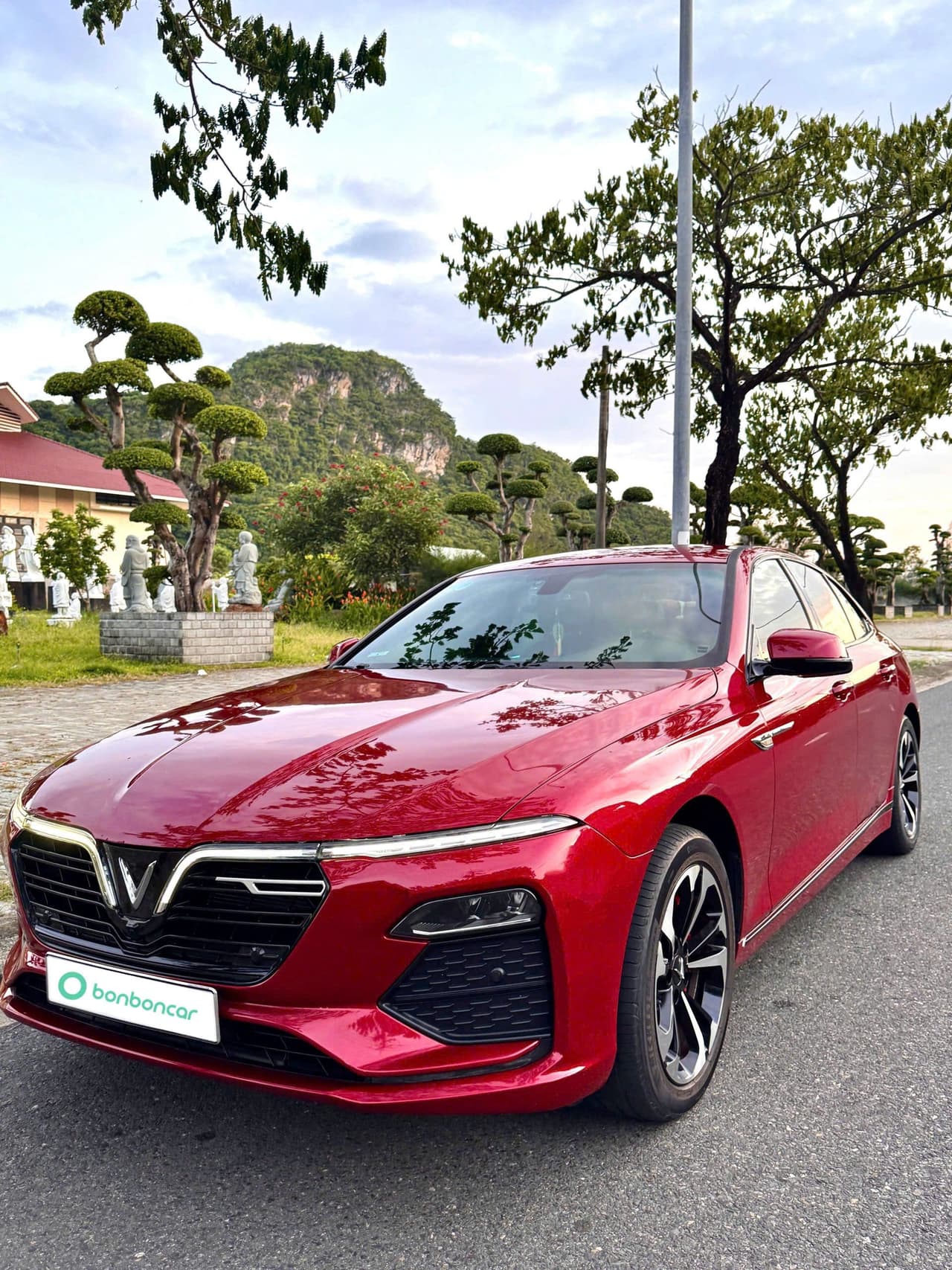 Hình ảnh 1 Image 1