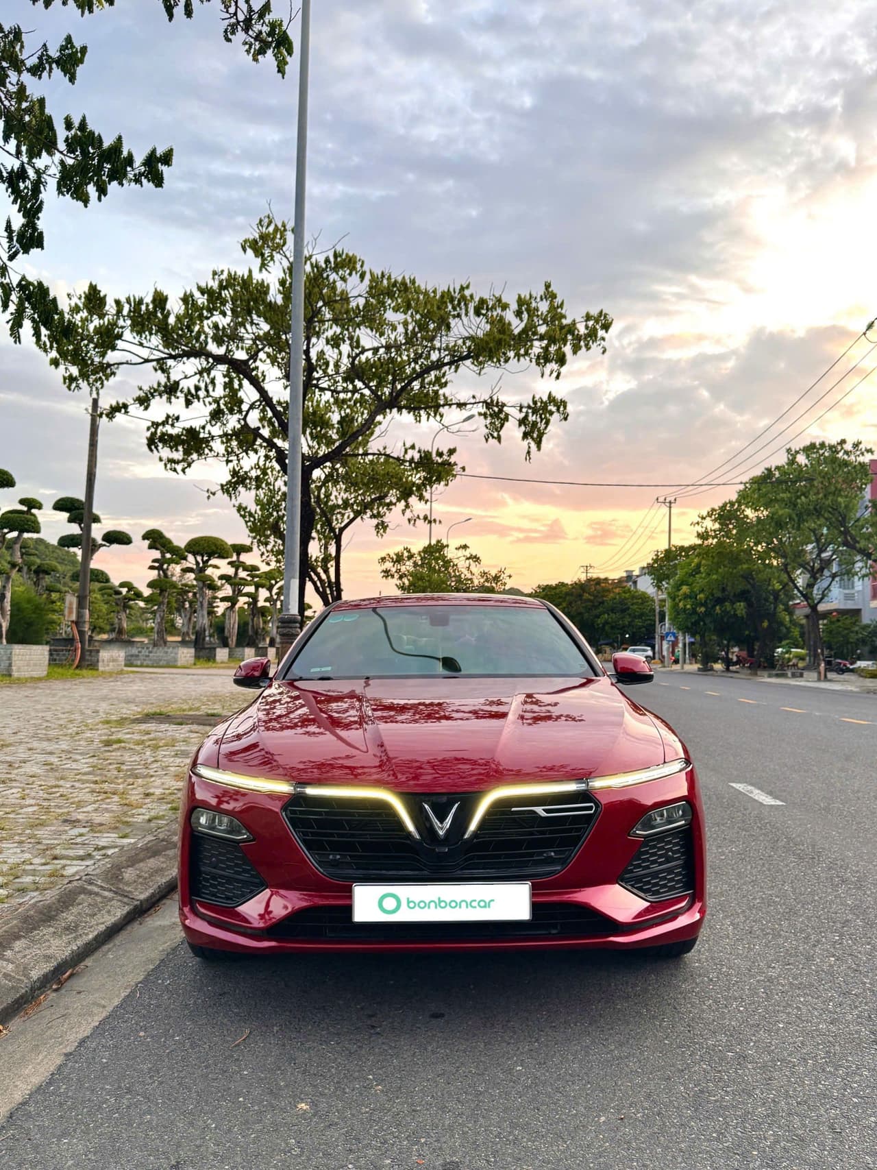 Hình ảnh 4 Image 4