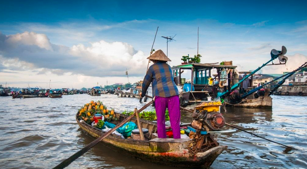 Cần Thơ Mùa Nước Nổi: Thuê Xe Tự Lái Khám Phá Chợ Nổi Cái Răng Và Những Vườn Trái Cây Trĩu Quả post image