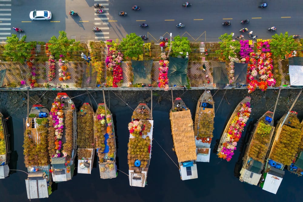 Hội Hoa Xuân Tao Đàn 2026 Mở Cửa Khi Nào? Giá Vé và Hoạt Động Không Thể Bỏ Lỡ Dịp Tết 2026