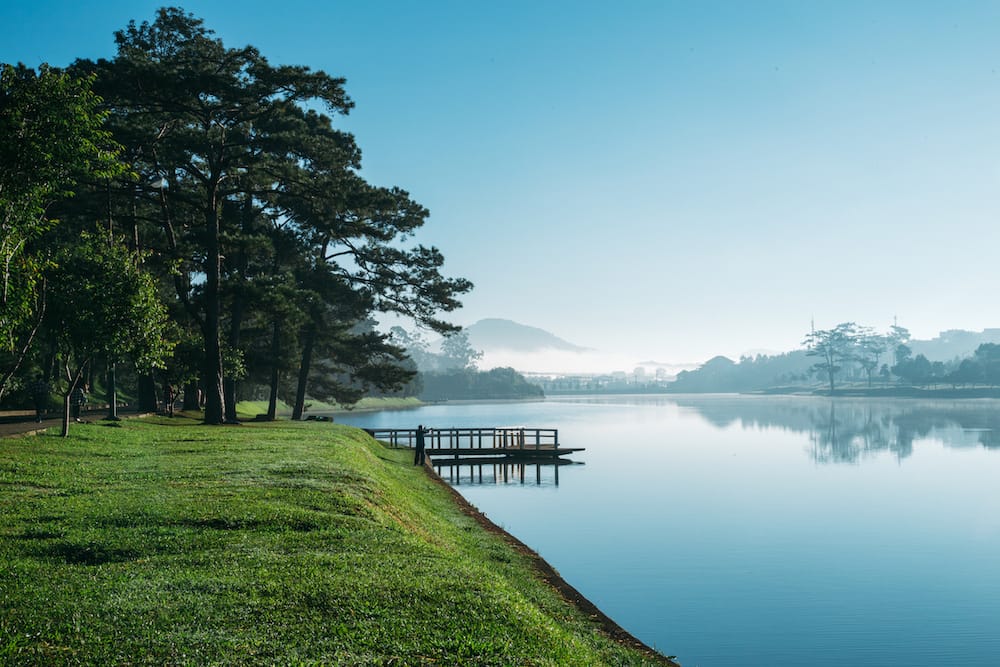 Đi Đà Lạt Mùa Nào Đẹp Nhất 2026? Cẩm Nang Du Lịch 12 Tháng